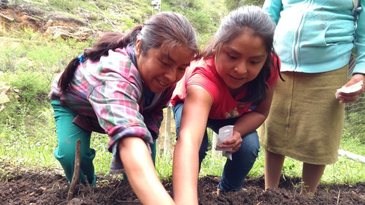 IMG_20170903_171202964[1]