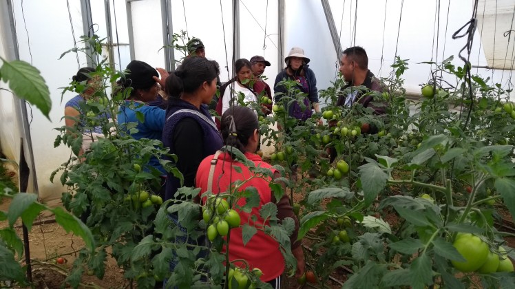 IMG_20170910_123947269[1]