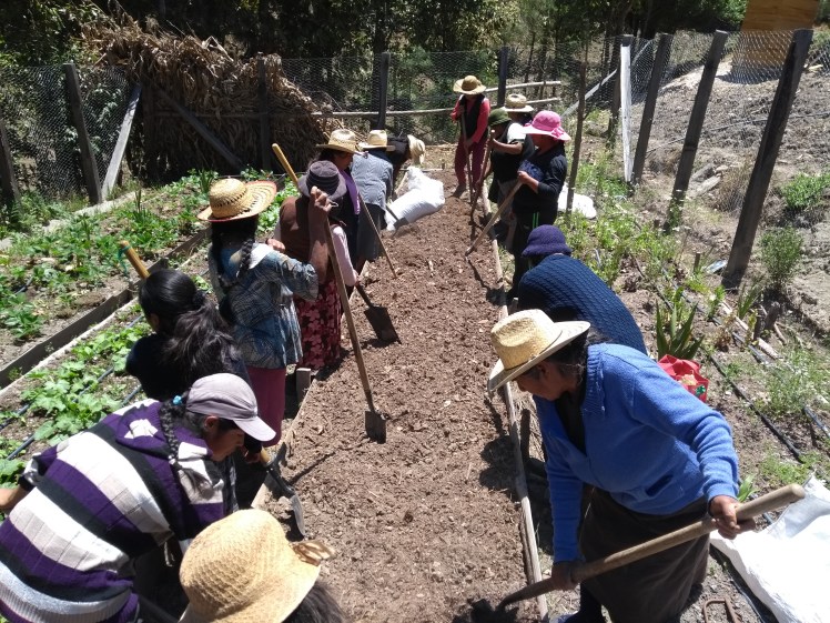 hortaliza lazaro cirina (7).jpg