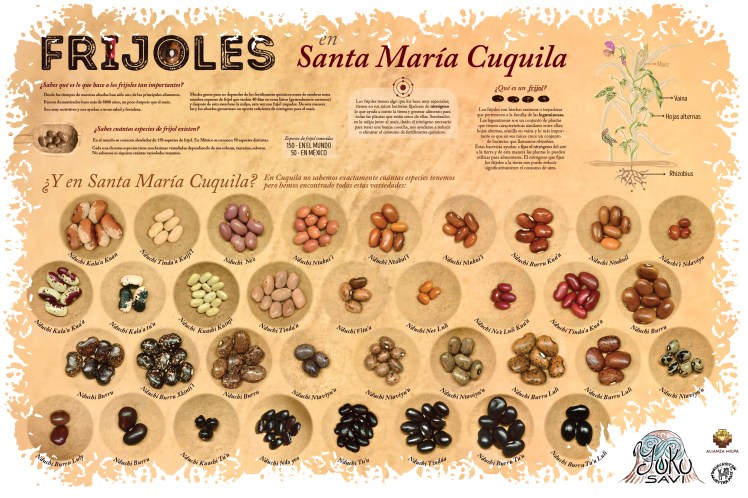Yuku-Savi-cartel-frijol-smcuquila-web-OK.jpg